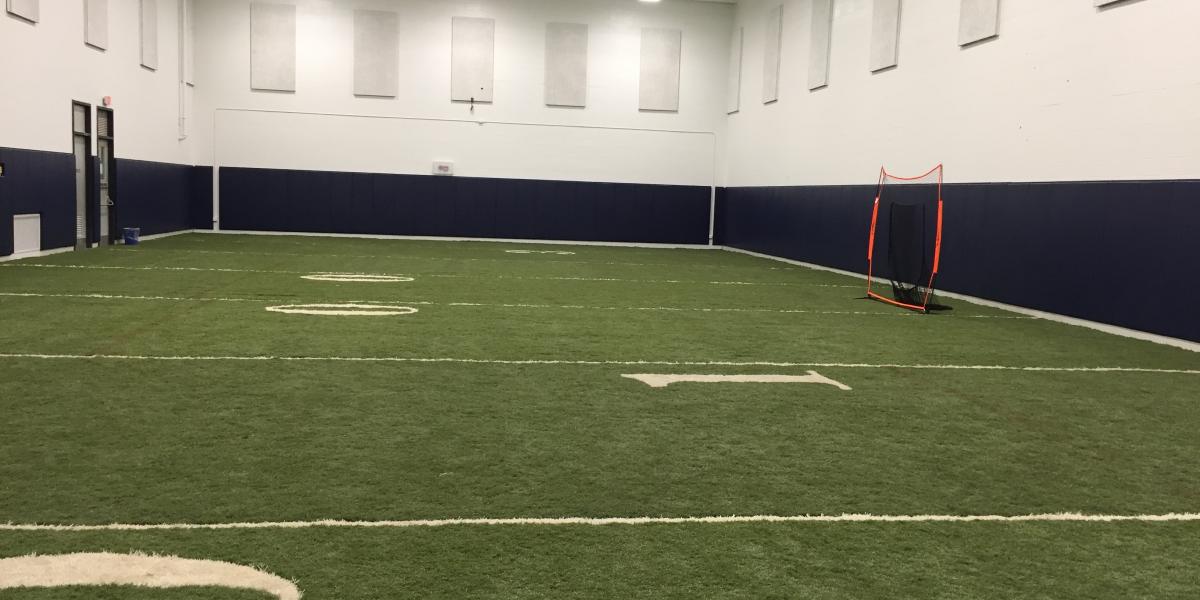 Indoor Field Turf